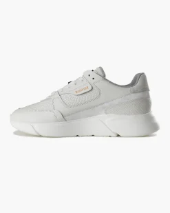 Flash Sale Cruyff Arq Ii