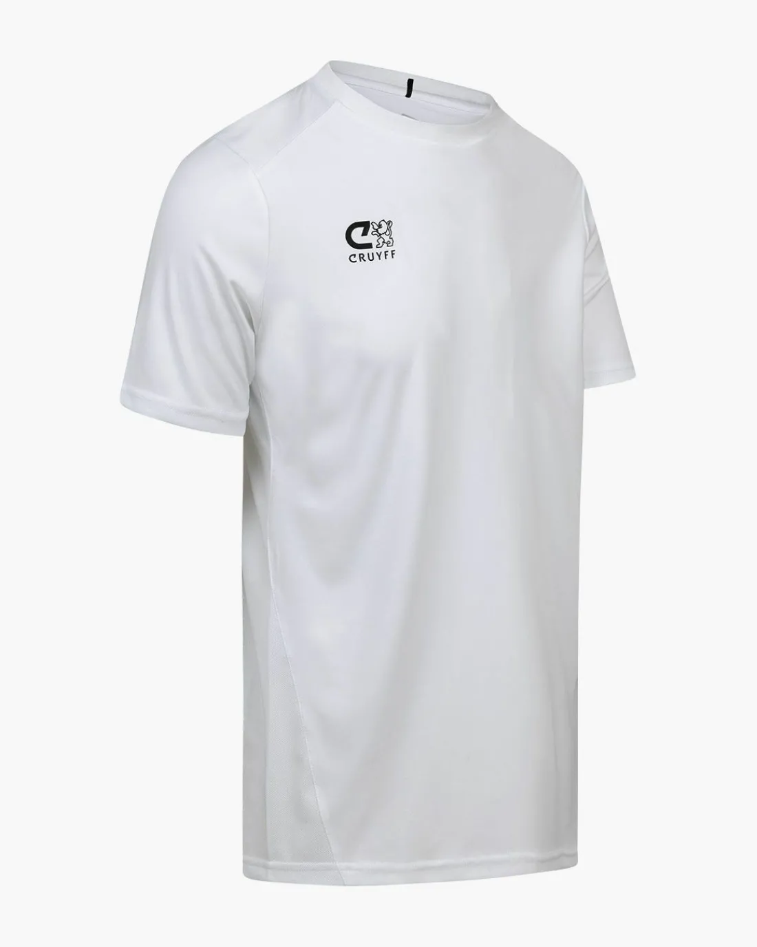 Online Cruyff Training Shirt Senior
