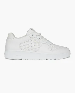 Sale Cruyff Indoor Royal