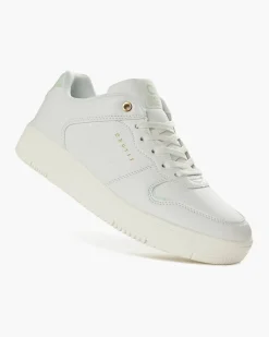New Cruyff Indoor Royal